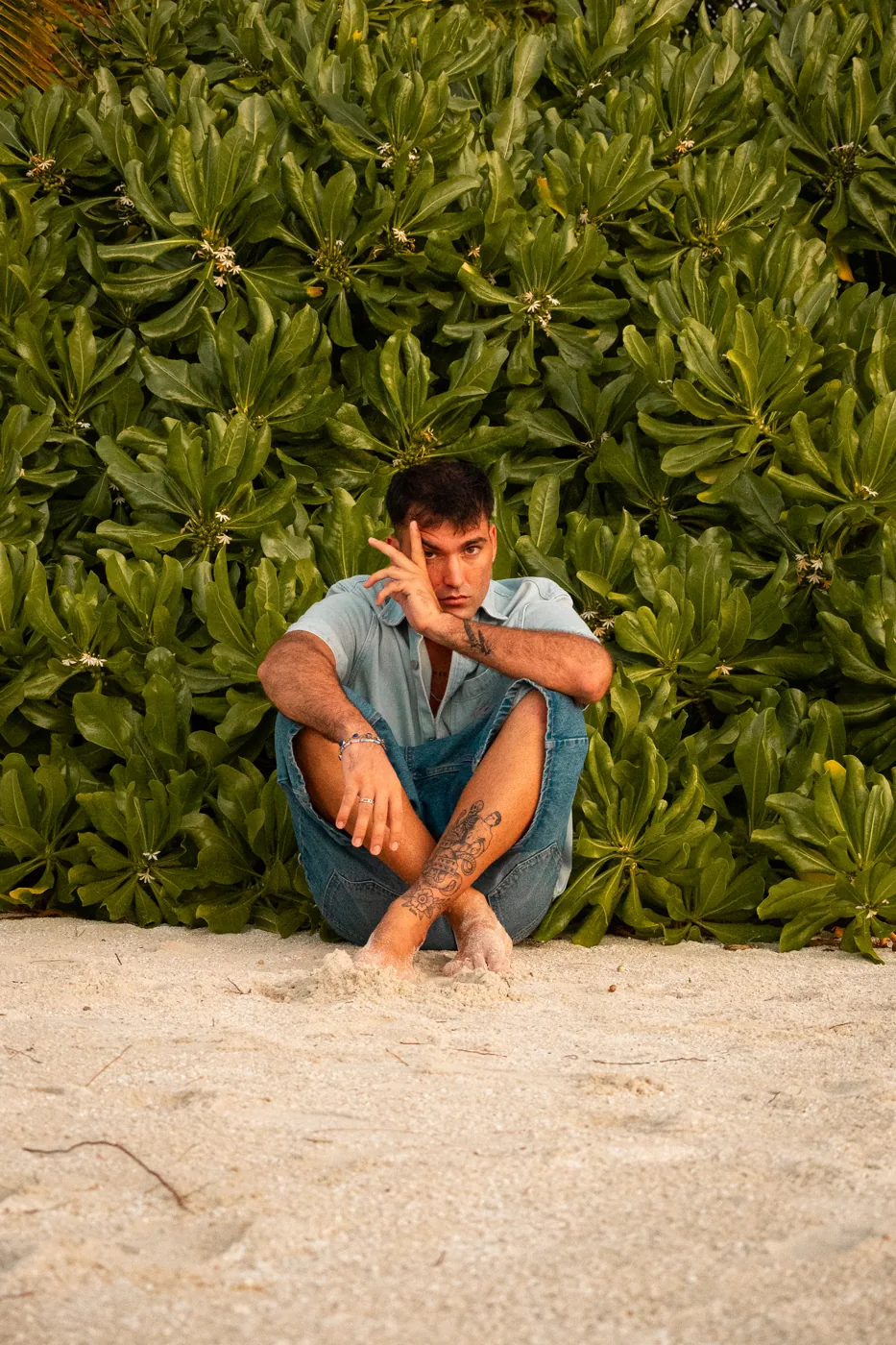 Shooting tra le piante, «Fallin Love»